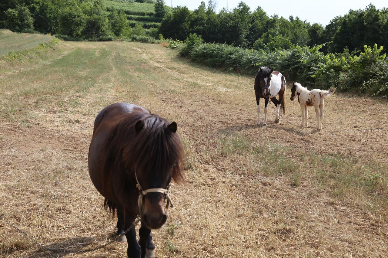 Agriturismo Pirara Sant'Angelo  Εξωτερικό φωτογραφία